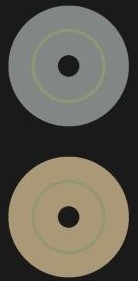 illustration Cerda-Company et al Vision 2021.JPG