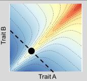 illustration Kikuchi et al J of Evolutionary Biology 2023.JPG