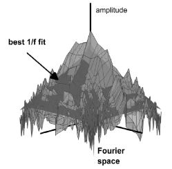 illustration Penacchio Wilkins Vision Research 2015.JPG