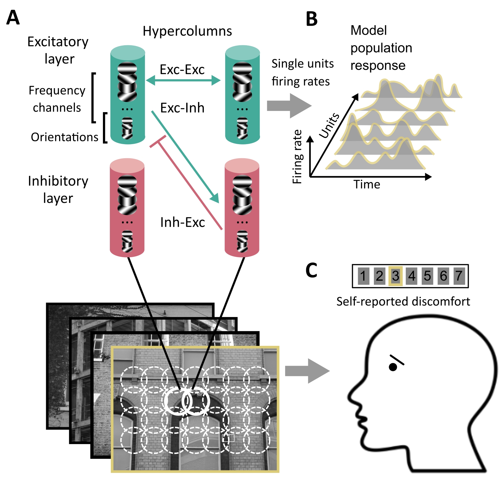 illustration Penacchio et al Frontiers in Neuroscience 2023.jpg